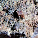 Perovskita
Cristal mayor de 4 mm.
(Autor: Antonio P. López)