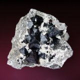 Magnetita
7 x 6 cm.
(Autor: Antonio P. López)