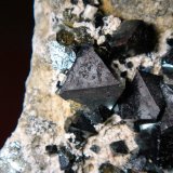 Magnetita
Cristal mayor de 1,5 cm.
(Autor: Antonio P. López)