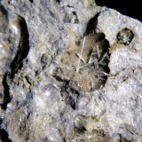Valentinita
Cristal mayor de 1 cm.
(Autor: Antonio P. López)