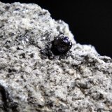 Senaíta
Cristal de 0,4 cm.
(Autor: Antonio P. López)