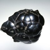 Hematites
5 x 4 cm.
(Autor: Antonio P. López)