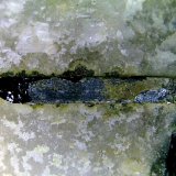 Euxenita-(Y)
Cristal de 8 mm.
(Autor: Antonio P. López)
