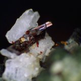 Rutilo, Cuarzo
Grupo de cristales de 1 mm.
(Autor: Antonio P. López)