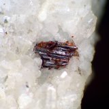 Rutilo
Cristal de 3 mm.
(Autor: Antonio P. López)