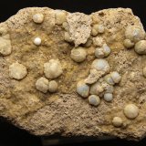 Clinoptilolita y Cuarzo (variedad calcedonia)
10 x 6.5 cm
(Autor: Pedro Antonio)