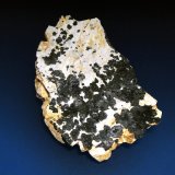 Asbolana
8 x 5 cm.
(Autor: Antonio P. López)