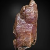 Corindón (variedad rubí)
45 x 19 mm
(Autor: Manuel Mesa)