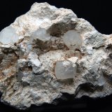 Calcita
13.5 x 8 cm
(Autor: Pedro Antonio)