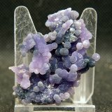 Cuarzo (variedad calcedonia)
5 x 3.5 cm
(Autor: Pedro Antonio)