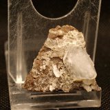 Celestina
3.5 x 3 cm
(Autor: Pedro Antonio)