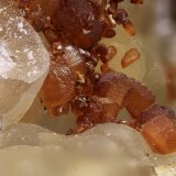 Siderita
Cristal mayor 1,5 mm
(Autor: Jorgina-Agusti-Màrius)