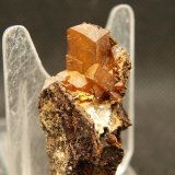 Celestina
5 x 3 cm
(Autor: Pedro Antonio)