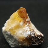 Celestina
4 x 3.5 cm
(Autor: Pedro Antonio)