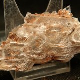 Yeso
7.5 x 3.5 cm
(Autor: Pedro Antonio)