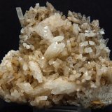 Celestina
8.5 x 8 cm
(Autor: Pedro Antonio)