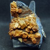 Siderita
7.5 x 6.5 cm
(Autor: Pedro Antonio)