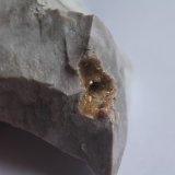 Celestina
4,5 x 4,5 cm.
(Autor: Rafael varela olveira)
