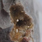 Celestina
4,5 x 4,5 cm.
(Autor: Rafael varela olveira)