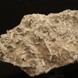 Celestina
12 x 6 cm
(Autor: Pedro Antonio)