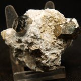 Pirita
6.5 x 5 cm
(Autor: Pedro Antonio)