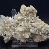 Celestina
9 x 6 cm
(Autor: Pedro Antonio)