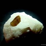 Phlogopita (Flogopita)
60x40 mm
(Autor: Jesus Franquesa Baucells)