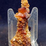 Calcita
6.5 x 2.5 cm
(Autor: Pedro Antonio)