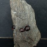 Granate (Grupo)
9.5 x 5 cm
(Autor: Pedro Antonio)