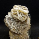 Calcita pseudomórfica de Yeso
8 x 5.5 cm
(Autor: Pedro Antonio)