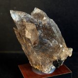 Yeso
8 x 4.5 cm
(Autor: Pedro Antonio)