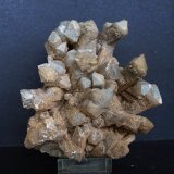 Celestina
11.5 x 10 cm
(Autor: Pedro Antonio)