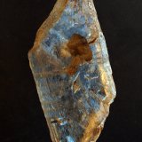 Yeso
11 x 5.5 cm
(Autor: Pedro Antonio)