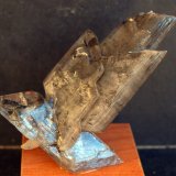 Yeso
9 x 6 cm
(Autor: Pedro Antonio)