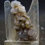 Calcita
5.5 x 2.5 cm
(Autor: Pedro Antonio)