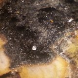 Galena, dolomita
macro 20 aumentos
(Autor: Javier Rodriguez)