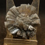 Aragonito
4 x 4 cm
(Autor: Pedro Antonio)