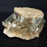Celestina
4.5 x 3.5 cm
(Autor: Pedro Antonio)