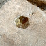 Pirita
Medidas pieza: 7,5x5x3,6 cm, Medidas cristal: 0,9x0,8 cm
(Autor: Sergio Pequeño)