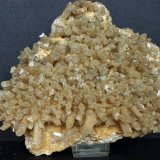 Celestina
21 x 17 cm
(Autor: Pedro Antonio)