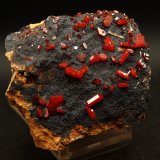 Vanadinita
6.5 x 6
(Autor: Pedro Antonio)