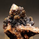 Cuarzo recubierto Goethita
7 x 5 cm
(Autor: Pedro Antonio)