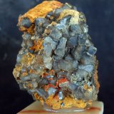 Celestina
8 x 5.5 cm
(Autor: Pedro Antonio)