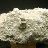Pirita
10 x 5 cm
(Autor: Pedro Antonio)