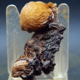 Baritina y siderita
5.5 x 3 cm
(Autor: Pedro Antonio)