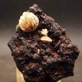 Baritina
7 x 5.5 cm
(Autor: Pedro Antonio)