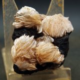 Baritina y Siderita
4.5 x 4.5 cm
(Autor: Pedro Antonio)