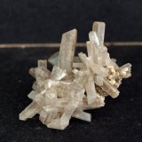Celestina
5 x 3.5 cm
(Autor: Pedro Antonio)