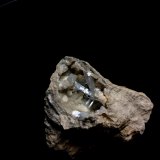 Celestina
7x5cm
(Autor: Obsi)