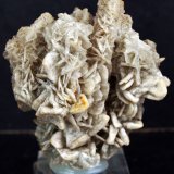 Barita
7 x 6 cm
(Autor: Pedro Antonio)